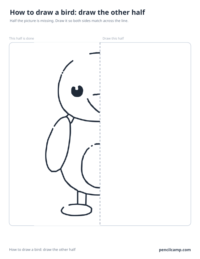 Symmetry worksheet: the left half of a bird beside a dashed mirror line, the right half left blank