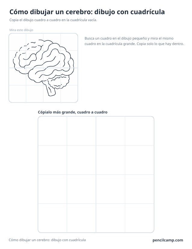 Ficha de cuadrícula: el dibujo de un cerebro bajo una cuadrícula de 4 por 4, en 14 de los 16 cuadros, y debajo una cuadrícula grande vacía