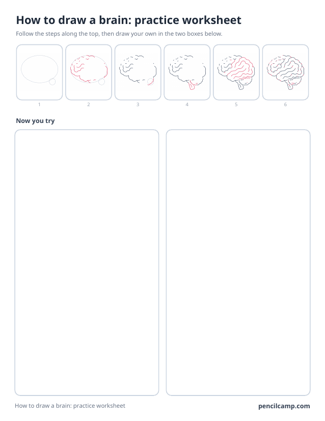 How to draw worksheet for a brain: all six stages along the top, then two empty boxes to draw it in