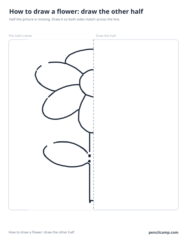 Symmetry worksheet: the left half of a flower with six petals beside a dashed mirror line, the right half left blank