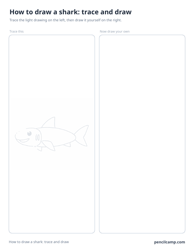 Trace and draw sheet: a shark printed in faint grey on the left, an empty box of the same size on the right