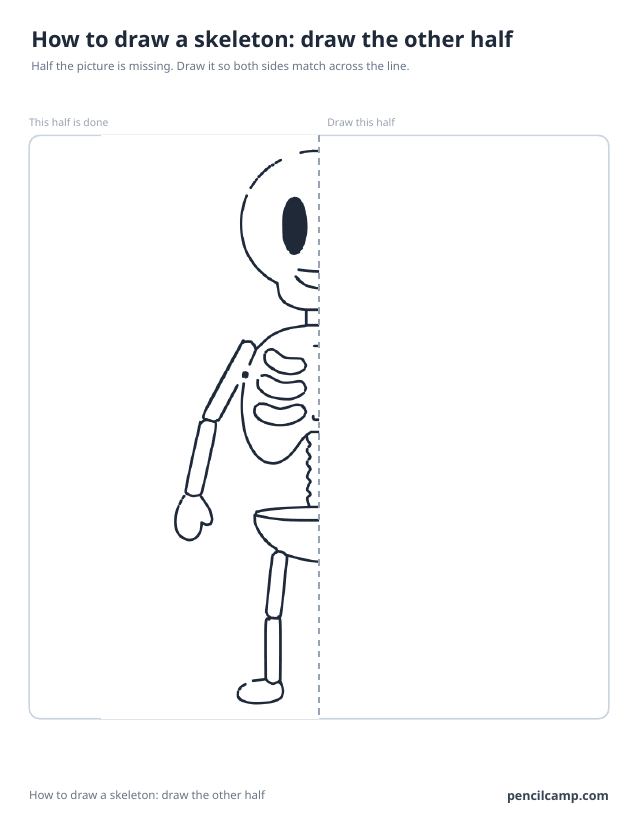 Symmetry worksheet: the left half of a skeleton beside a dashed mirror line, the right half left blank