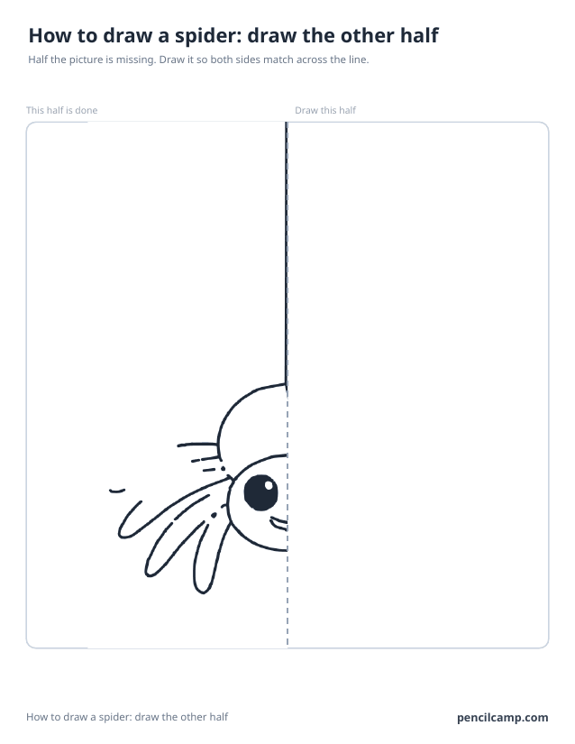 Symmetry worksheet: the left half of a spider on a thread beside a dashed mirror line, the right half left blank
