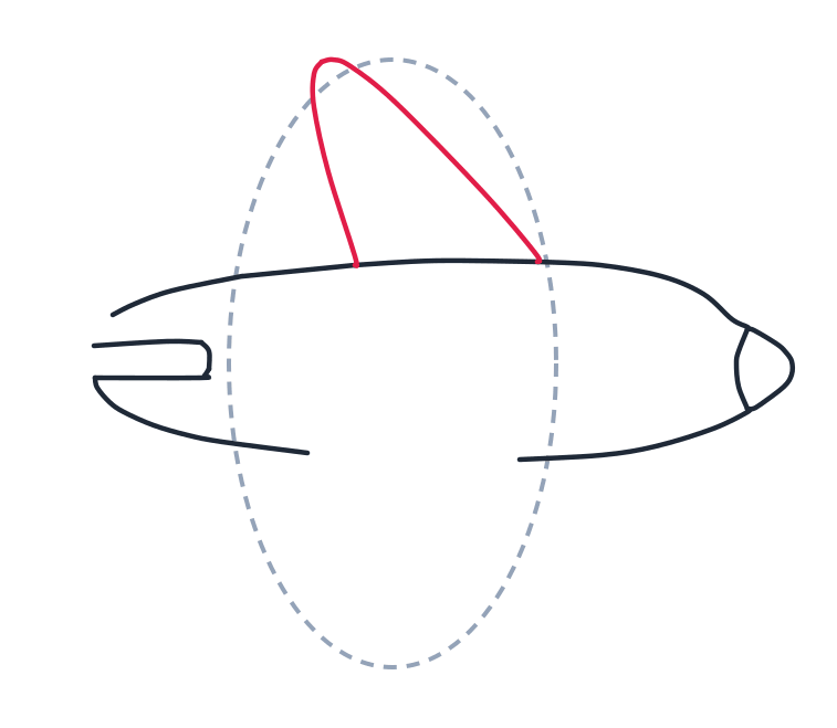 Dibujando un avión, paso 3: Levanta la aleta de la cola sobre la mitad trasera del cuerpo. Una línea corta sube derecho desde el cuerpo, otra más larga sube desde más adelante, y las dos se juntan en un punto bien alto. Queda como un triángulo alto y