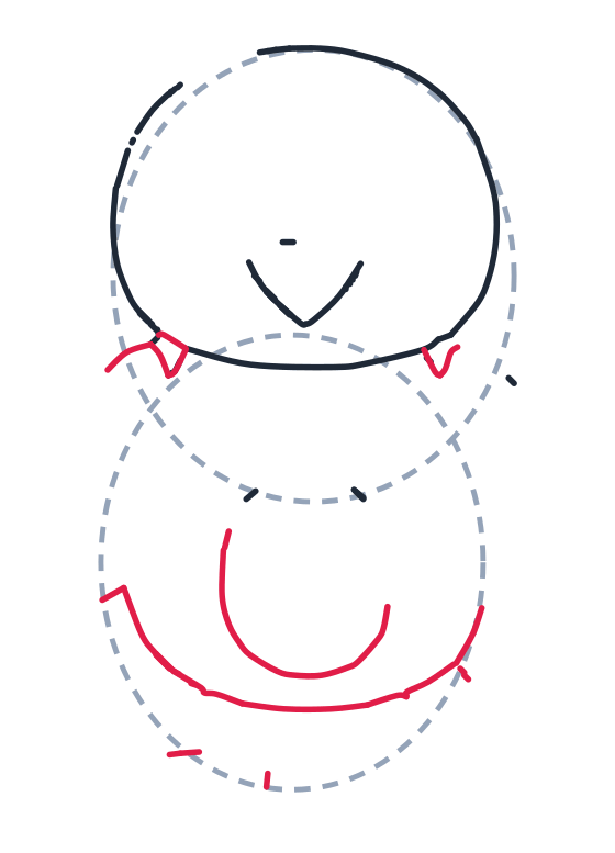 Drawing a bird, step 3: Draw two tiny V shapes under the head for fluffy feathers, a big curved line around the lower guide for the body, and a U shape on the belly.