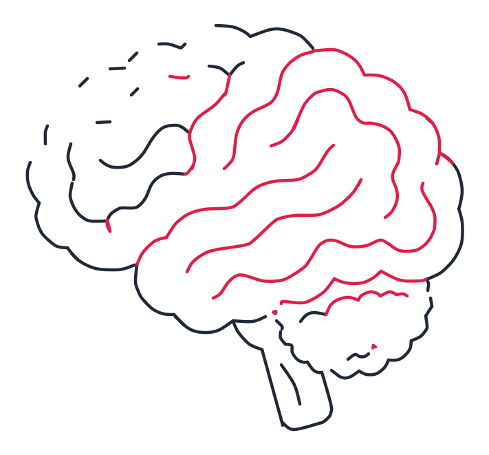 Dibujando un cerebro, paso 5: Agrega líneas largas y onduladas que crucen el cerebro para hacer pliegues grandes. Dibuja una línea ondulada con bultos sobre la parte superior del cerebelo.