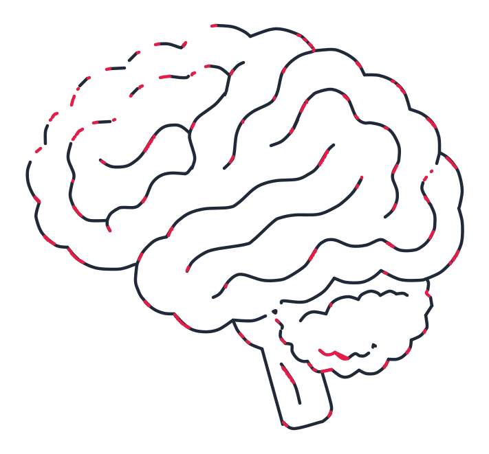 Dibujando un cerebro, paso 6: Cierra pequeños huecos con líneas curvas cortas en los bordes y pliegues. Agrega bultitos en la parte baja del cerebelo y una curva corta en la punta del tronco.