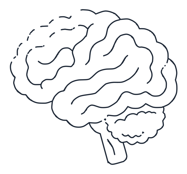 Cómo dibujar un cerebro