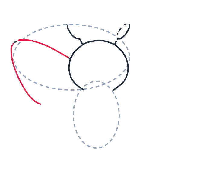 Drawing a butterfly, step 3: Add a long curved line from the head to form the left top wing.