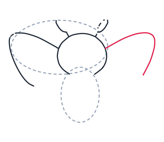 Drawing a butterfly, step 4: Draw a long curved line for the right top wing.