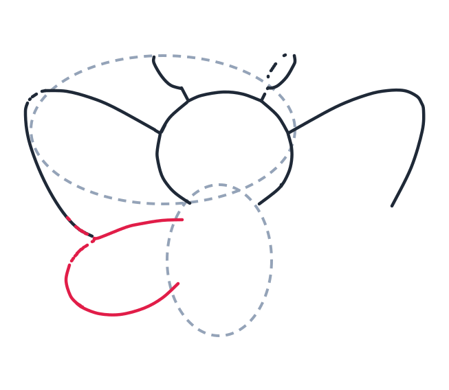 Drawing a butterfly, step 5: Make a rounded teardrop shape for the left bottom wing.