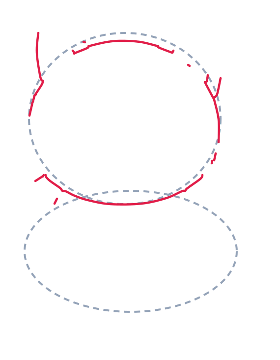 Drawing a cat, step 2: Draw a big curved line around the top half of the head circle. Add a smooth curved line for the chin where it meets the body.