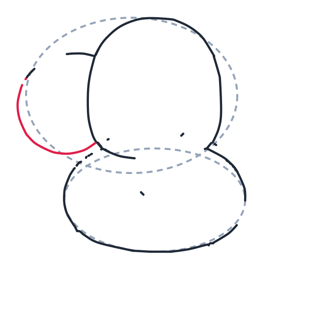 Drawing an elephant, step 4: On the left, draw a big C-shaped curved line for the ear. Attach it to the head.