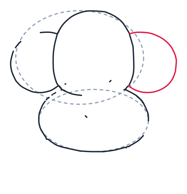 Drawing an elephant, step 5: On the right, draw another big oval for the ear. Attach it to the head.