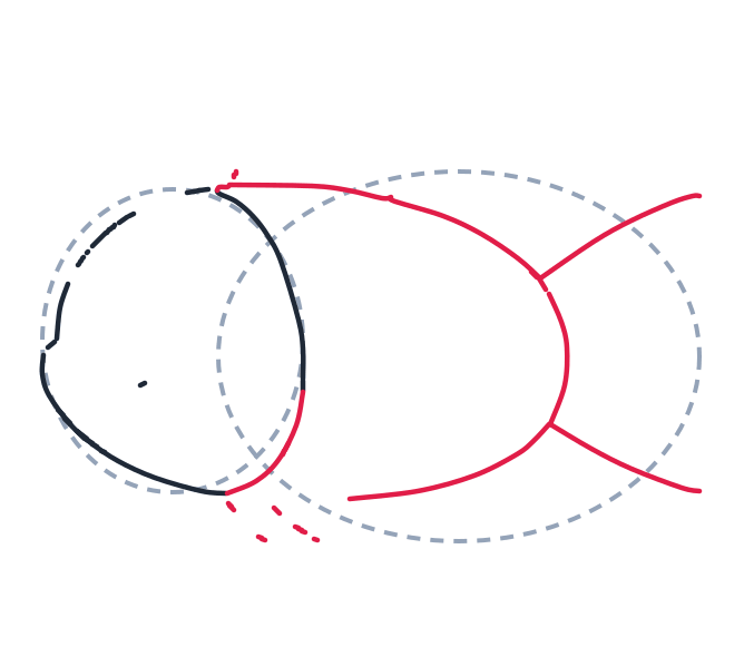 Drawing a fish, step 3: Draw two long curved lines from the head to the back to shape the body, then add two long curved lines that cross like an X for the tail.