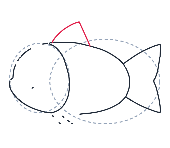 Drawing a fish, step 5: Draw a triangle on top, one curved line in front and one straight line in back.