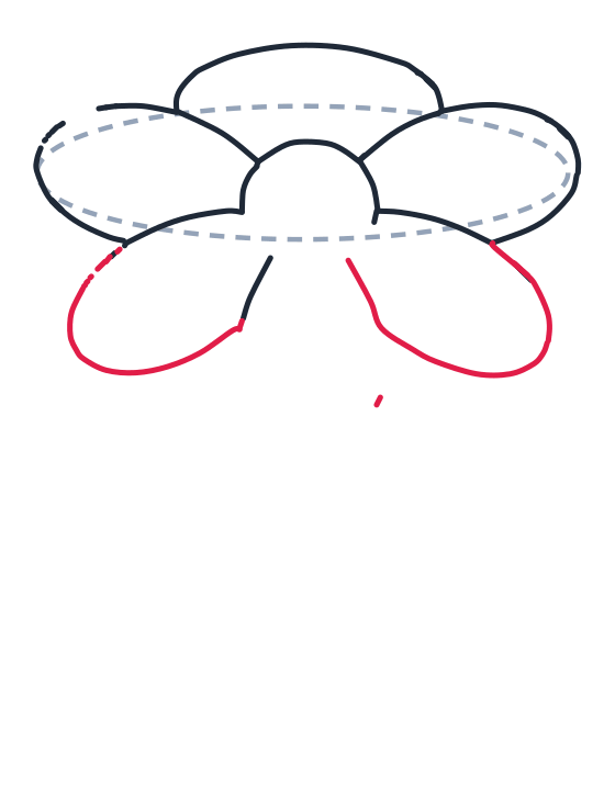 Drawing a flower, step 5: Draw two large ovals at the bottom left and bottom right to make the lower petals.