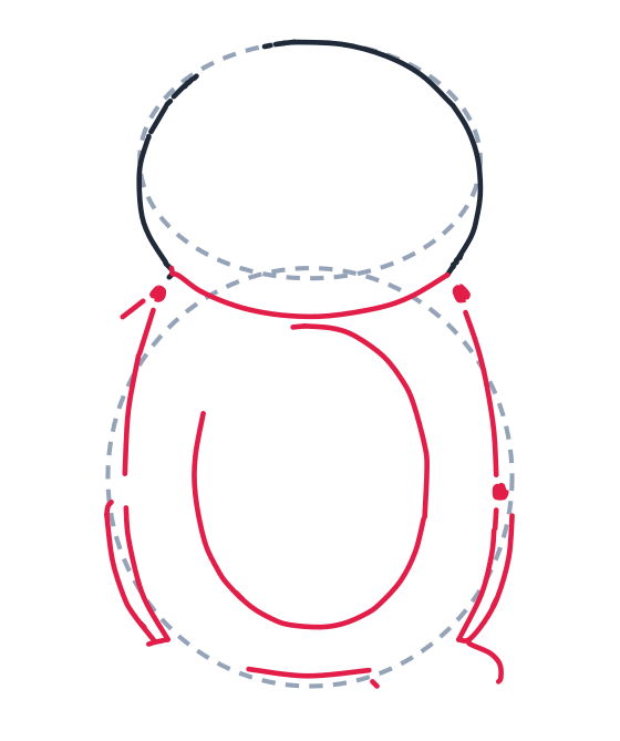 Drawing a penguin, step 3: Draw a big oval in the middle for the belly patch. Add a gentle curved line under the head, two long curved lines down the sides, and close the body along the bottom.