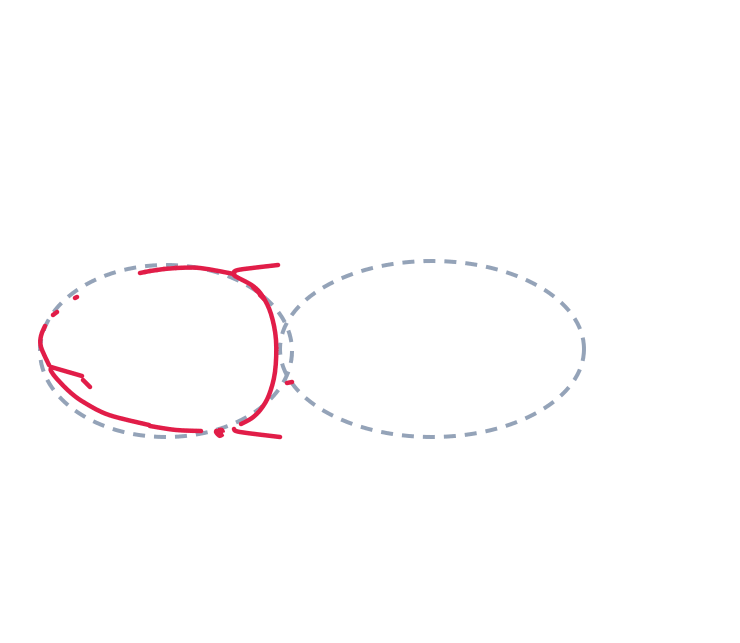 Drawing a shark, step 2: Trace most of the left oval to make the head. Add one short little line on top and one on the bottom where it meets the body.