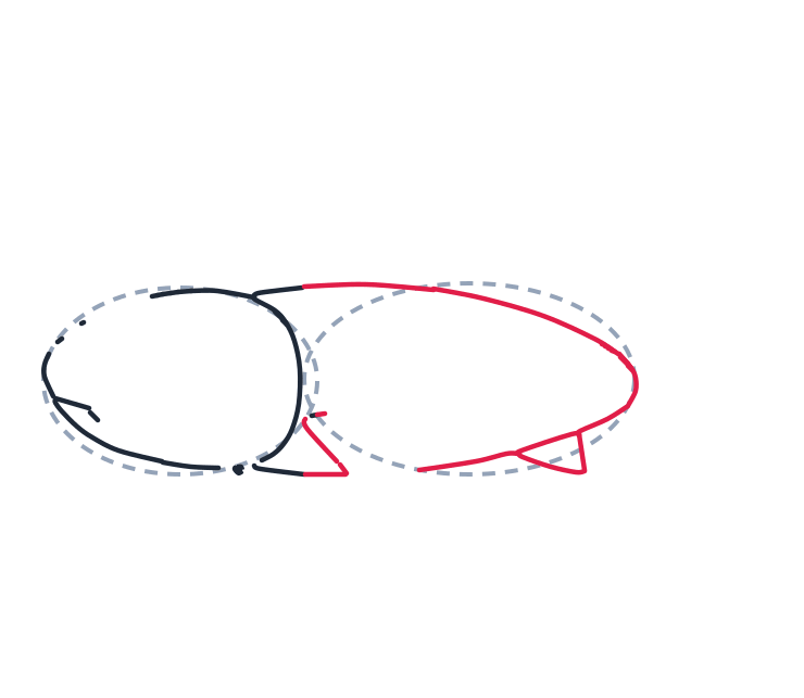 Drawing a shark, step 3: Draw a long curved line on top for the back, and another long curved line below for the belly. Add a small triangle under the front.