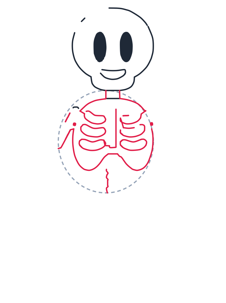 Drawing a skeleton, step 4: Draw two short neck lines. Make a rounded ribcage, add three curved ribs on each side and a straight breastbone down the center, plus a tiny wiggly start of the spine at the bottom.