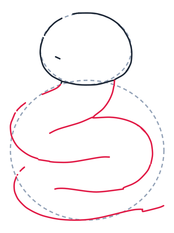 Dibujando una serpiente, paso 3: Dibuja una línea larga en S desde la cabeza hacia abajo para la espalda. Dibuja otra línea larga en S debajo para la barriga.