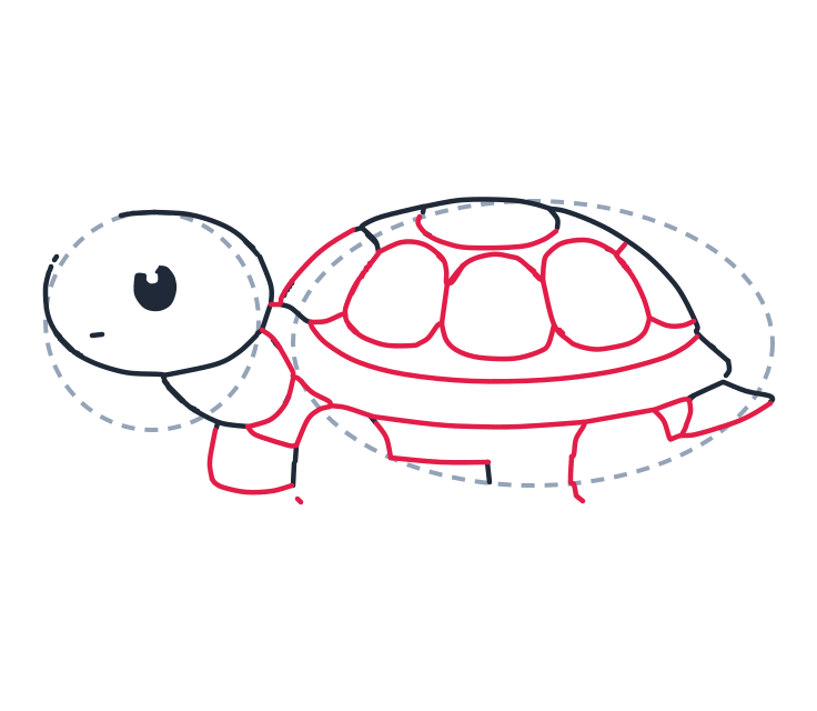 Dibujando una tortuga, paso 6: Añade tres placas redondeadas grandes en el costado del caparazón y una placa ovalada pequeña arriba, más una franja curva alrededor del caparazón. Dibuja dos líneas curvas cortas en el cuello, una curva larga para la b